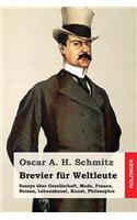 Brevier für Weltleute: Essays über Gesellschaft, Mode, Frauen, Reisen, Lebenskunst, Kunst, Philosophie