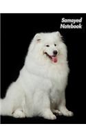 Samoyed Notebook: Sammy - Composition Book 150 pages 8.5 x 11 in. - Wide Ruled - Writing Notebook - Lined Paper - Soft Cover - Plain Journal