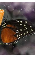 Butterfly Notebook