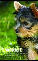 Yorkie Monthly Note Planner 2019 1 Year Calendar