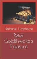 Peter Goldthwaite's Treasure