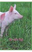 This Little Piggy: 124 Page Softcover, Has Lined And/Or Blank Pages with a Pig Border, College Rule Composition (6