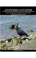 Oystercatcher: Fascinating Oystercatcher Facts for Kids with Stunning Pictures!