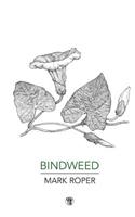 Bindweed