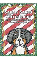 Sarah Saves Christmas