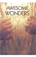Awesome Wonders
