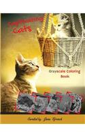 Captivating Cats Grayscale Coloring Book