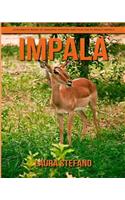 Impala