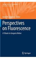 Perspectives on Fluorescence