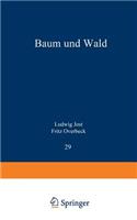 Baum und Wald