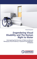 Engendering Visual Disability and The Human Right to Water