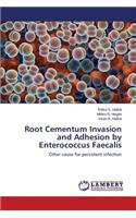 Root Cementum Invasion and Adhesion by Enterococcus Faecalis