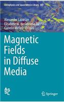 Magnetic Fields in Diffuse Media