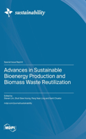 Advances in Sustainable Bioenergy Production and Biomass Waste Reutilization