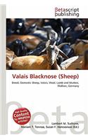 Valais Blacknose (Sheep): (English)