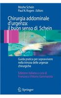 Chirurgia Addominale d'Urgenza: Il Buon Senso Di Schein