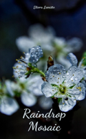 Raindrop Mosaic