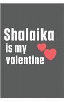 Shalaika is my valentine: For Setter Dog Fans