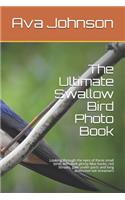 The Ultimate Swallow Bird Photo Book: Looking through the eyes of these small birds with dark glossy blue backs, red throats, pale under parts and long distinctive tail streamers