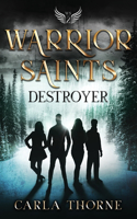 Warrior Saints - Destroyer: Stonehaven Academy Saints Book 2