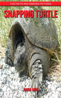 Snapping Turtle