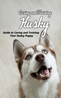 Caring and Training Husky