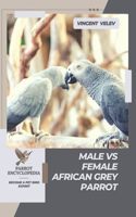 Male vs Female African Grey Parrot