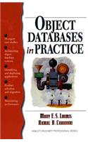 Object Databases in Practice