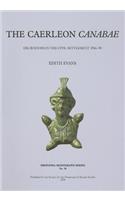 Caerleon Canabae: Excavations in the Civil Settlement 1984-90