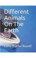 Different Animals On The Earth