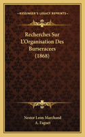 Recherches Sur L'Organisation Des Burseracees (1868)