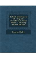 School Experiences of a Fag at a Private and Public School - Primary Source Edition