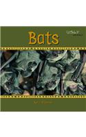 Bats