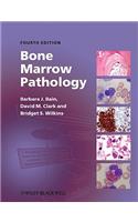 Bone Marrow Pathology