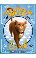 Five Lives of Our Cat Zook