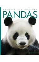 Pandas