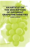 Article on the Description of Different Grapevine Varieties