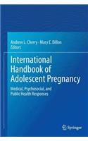 International Handbook of Adolescent Pregnancy