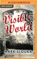 The Visible World
