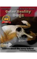 Dogs - Color Reality