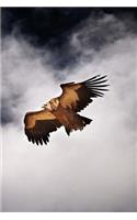 A Vulture Flying in the Sky in Tibet Bird of Prey Journal: 150 Page Lined Notebook/Diary