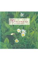 Colorado Close-Up