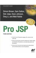 Professional JSP