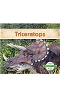 Triceratops: (Dinosaurs)