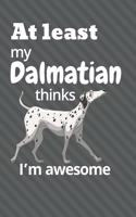 At least My Dalmatian thinks I'm awesome