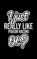 I Just Really Like Pigeon Racing Ok?