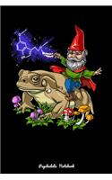 Psychedelic Notebook: Fantasy Gnome Riding Bufo Alvarius Toad Psychedelic Trip Notebook