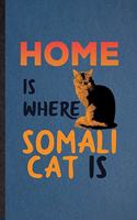 Home Is Where Somali Cat Is