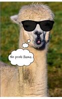 No Prob Llama