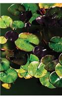 Lilypad Notebook